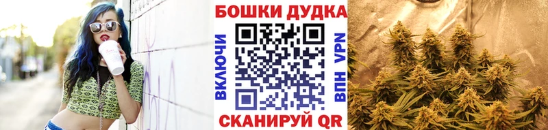 Какие есть наркотики Новая Ладога КОКАИН  А ПВП  Меф мяу мяу  ГАШИШ  АМФ  Бошки Шишки 