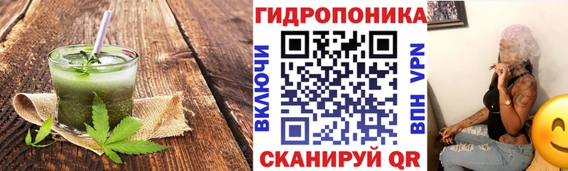 Еда ТГК марихуана  гидра онион  Новая Ладога 
