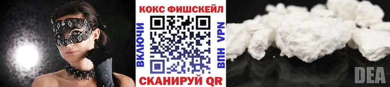 Кокаин FishScale  купить наркоту  Новая Ладога 
