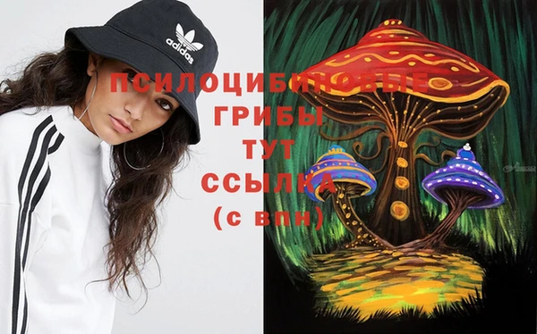 дурь Арсеньев