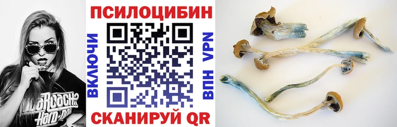наркошоп  даркнет как зайти  MEGA маркетплейс  Галлюциногенные грибы Cubensis  Новая Ладога 